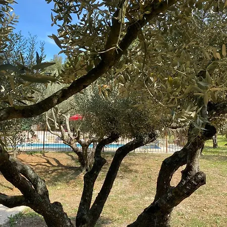 Spacieuse Avec Piscine A Vila Saint-Michel-d'Euzet